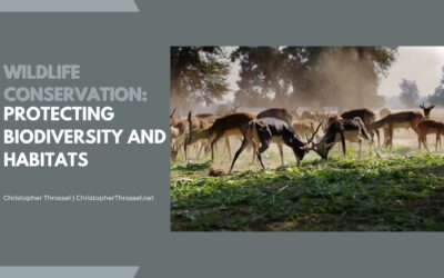 Wildlife Conservation: Protecting Biodiversity and Habitats