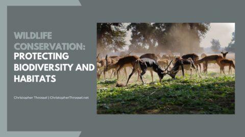 Wildlife Conservation: Protecting Biodiversity and Habitats ...
